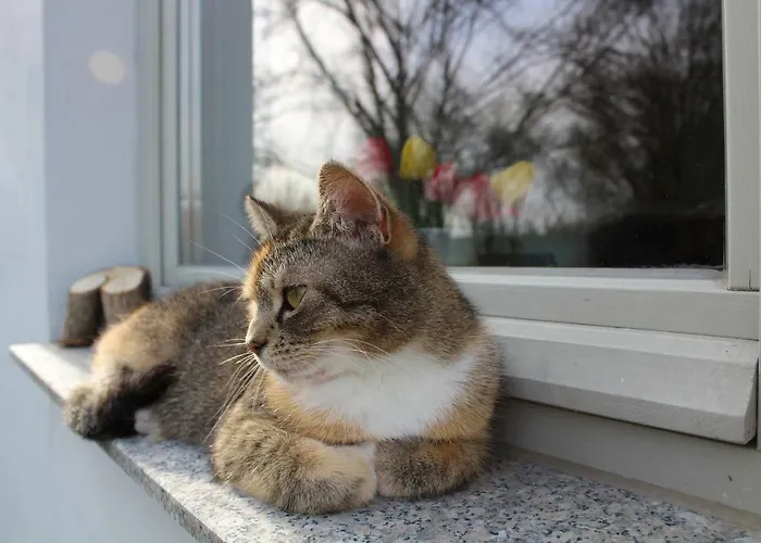 Eg Alte Stadtmuehle Von Kloster Zinna Apartmán